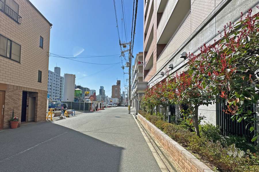 敷地南側の前面道路は西道頓堀通です（東側から）。