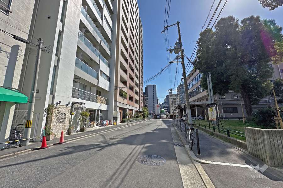 敷地西側の前面道路（北側から）