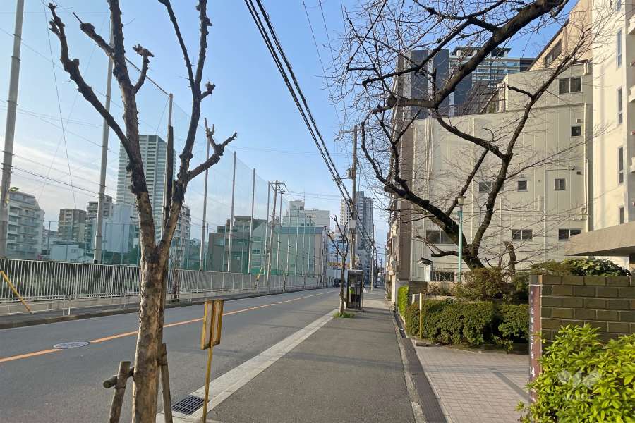 敷地東側の前面道路