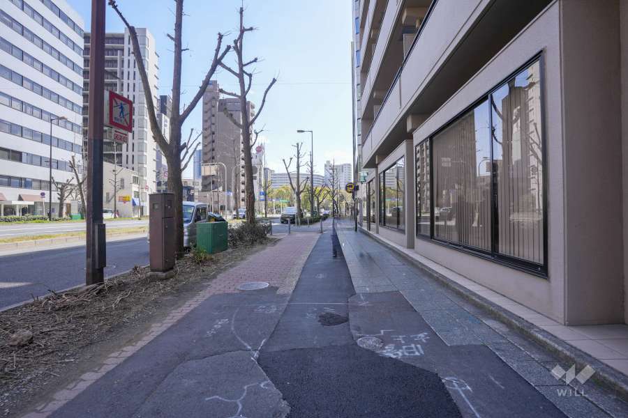敷地東側の前面道路　