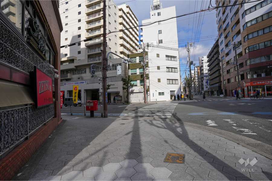 敷地西側の前面道路（南側から）