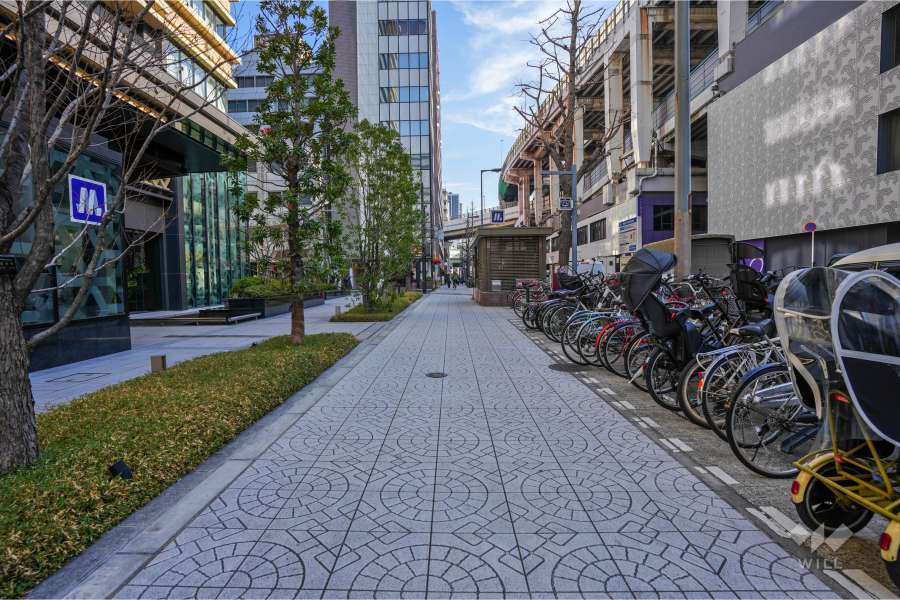 敷地南側の前面道路（西側から）