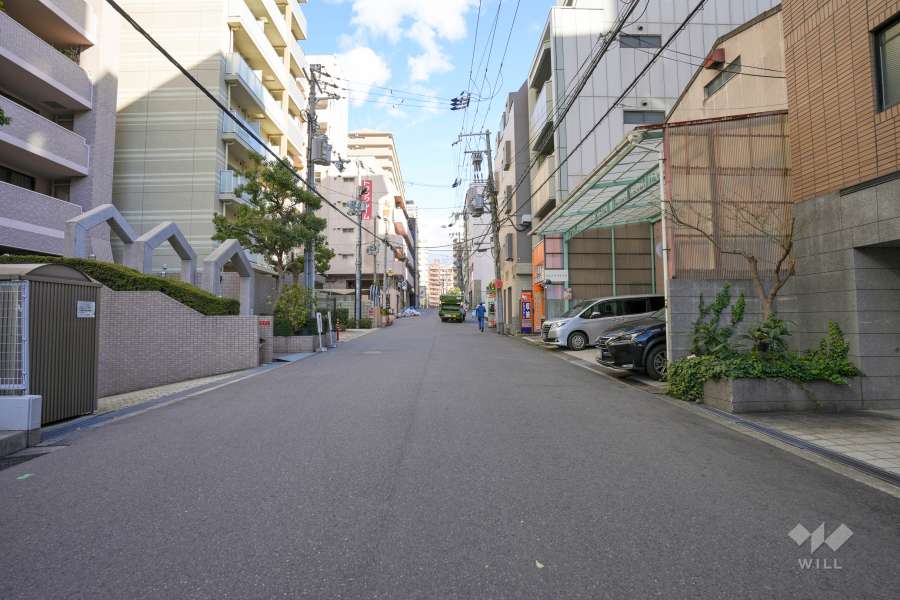 敷地北側の前面道路（西側から）