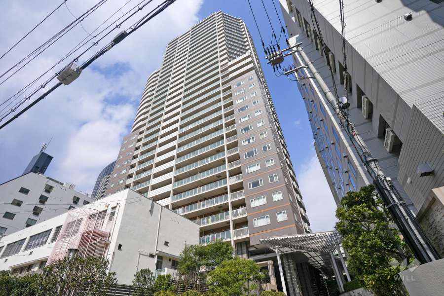 アップルタワー大阪谷町の外観（南東側から）