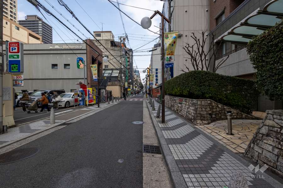 敷地北側の前面道路（西側から）