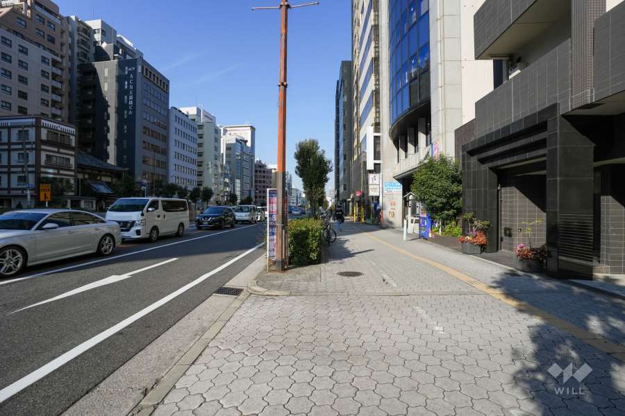 敷地の西側前面道路（南側から）