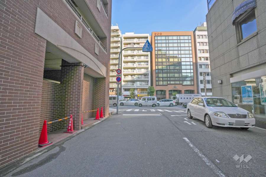 敷地の南側前面道路（西側から）