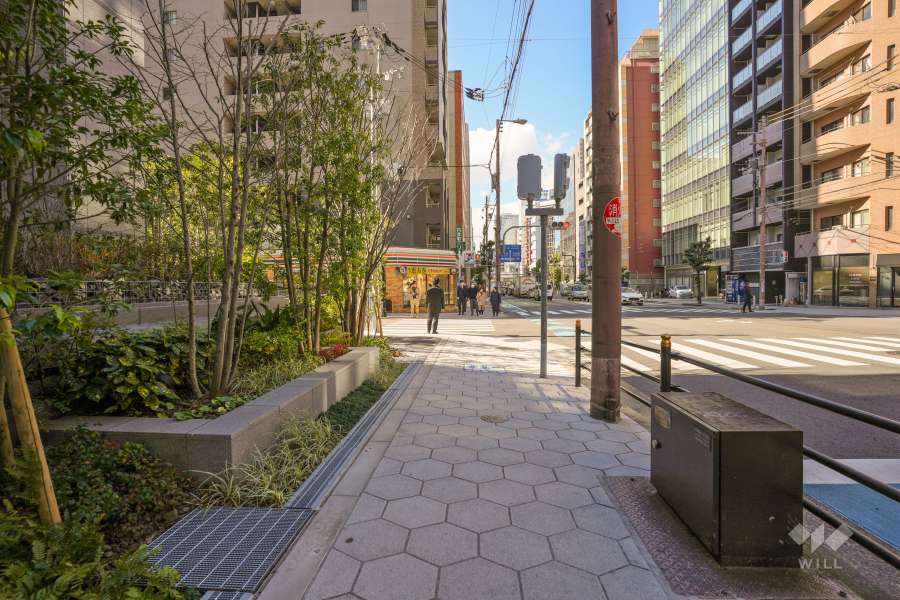 敷地の北側前面道路（東側から）
