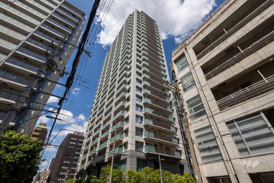 ウエリスタワー谷町四丁目の外観（南西側から）