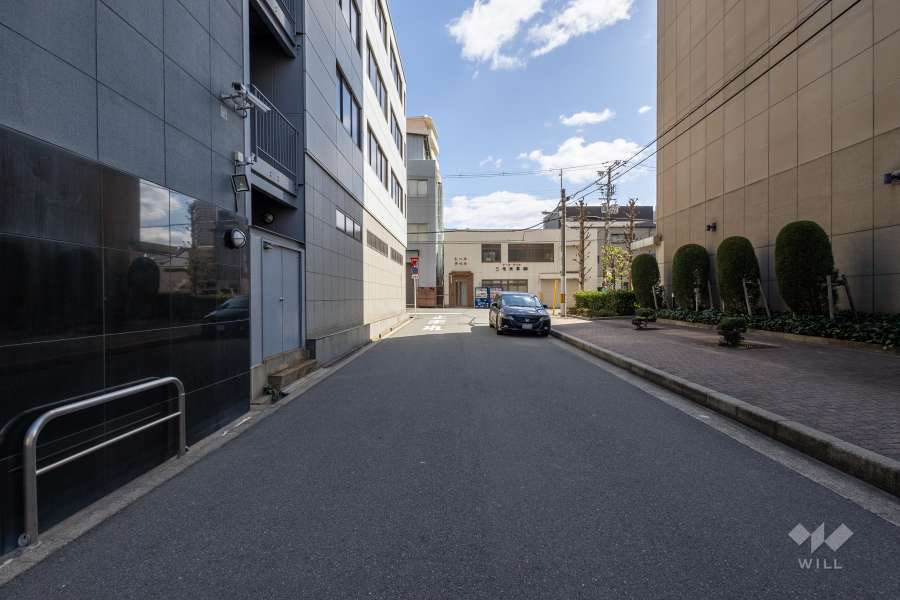 敷地北側の前面道路（西側から）