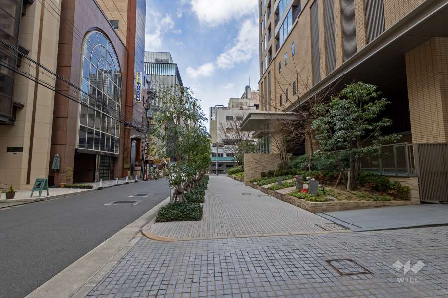 敷地西側の前面道路（南側から）