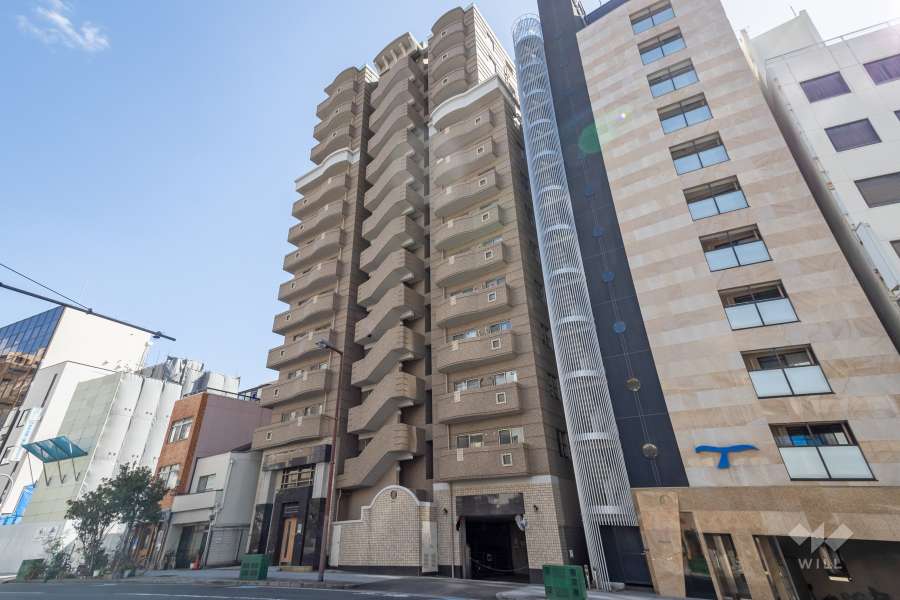 グランアッシュ谷町ラフィナーテの外観（北西側から）