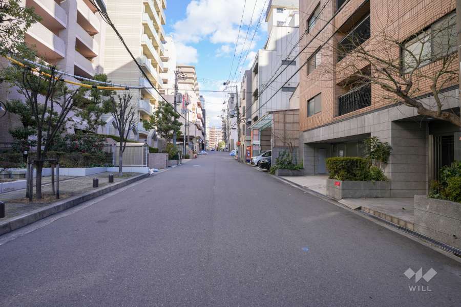 敷地南側の前面道路（西側から）