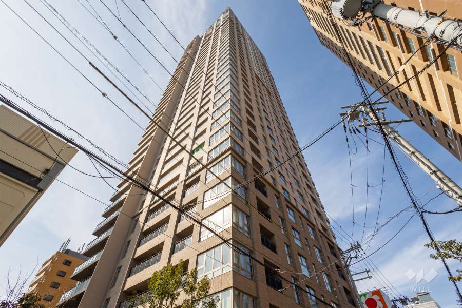 グランドメゾン上町台ザタワーの外観（南東側から）