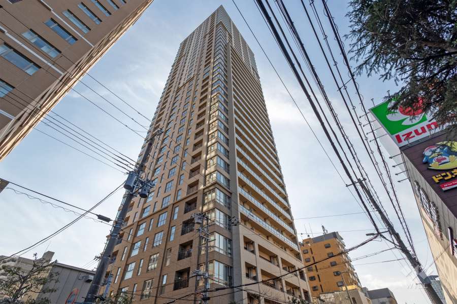 グランドメゾン上町台ザタワーの外観（北東側から）