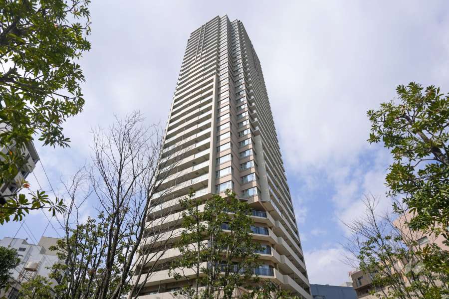 グランドメゾン上町台レジデンスタワーの外観（北東側から）