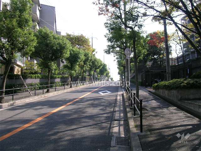 敷地北側の街路樹のきれいな通り