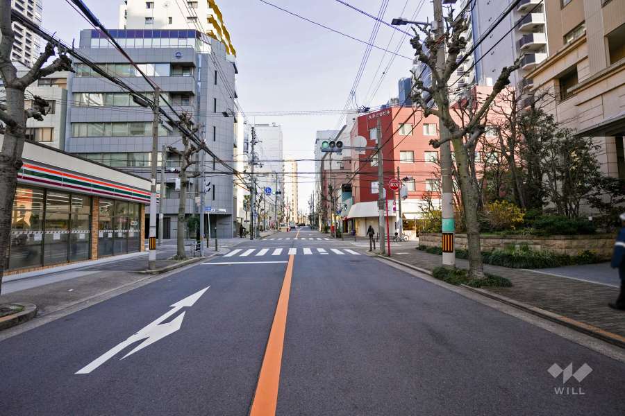 敷地北側の前面道路（西側から）