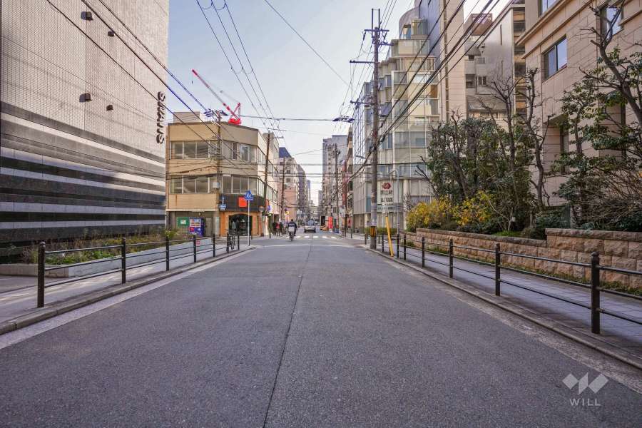 敷地東側の前面道路（北側から）
