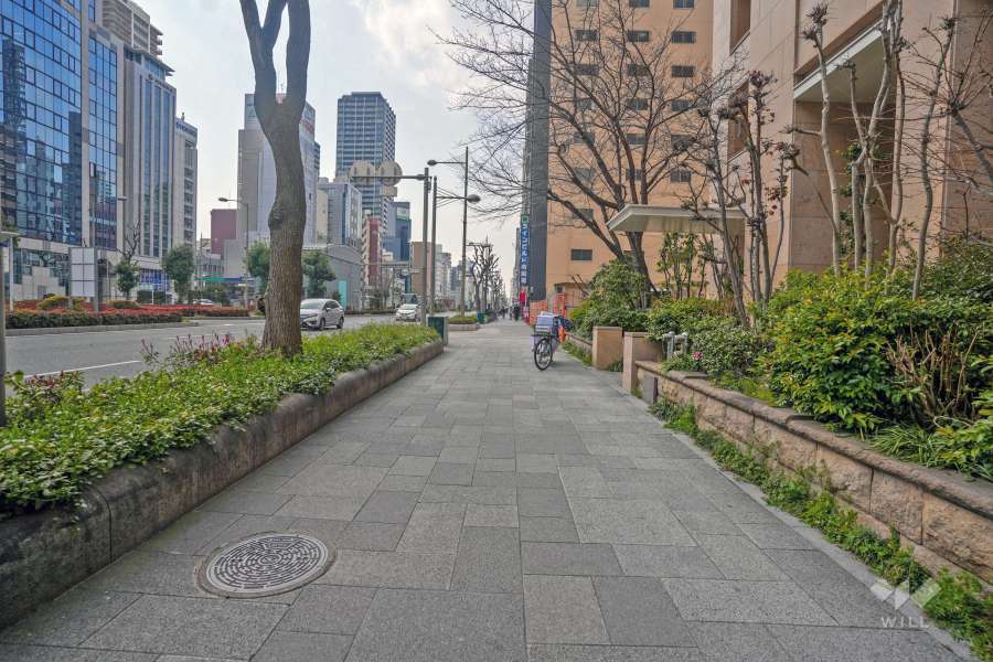 敷地南側の前面道路（東側から）