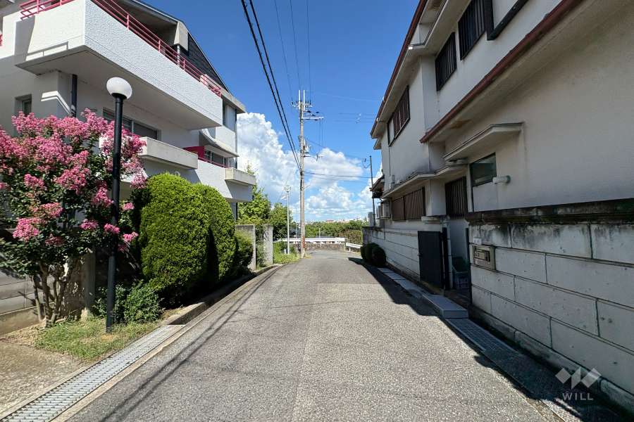 敷地南側の前面道路（西側から）