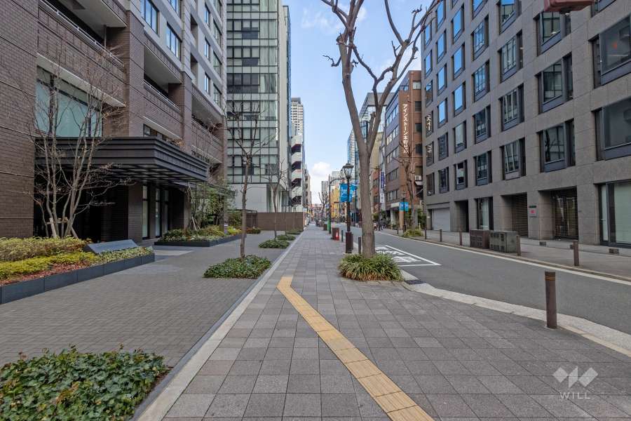 敷地東側の前面道路（南側から）