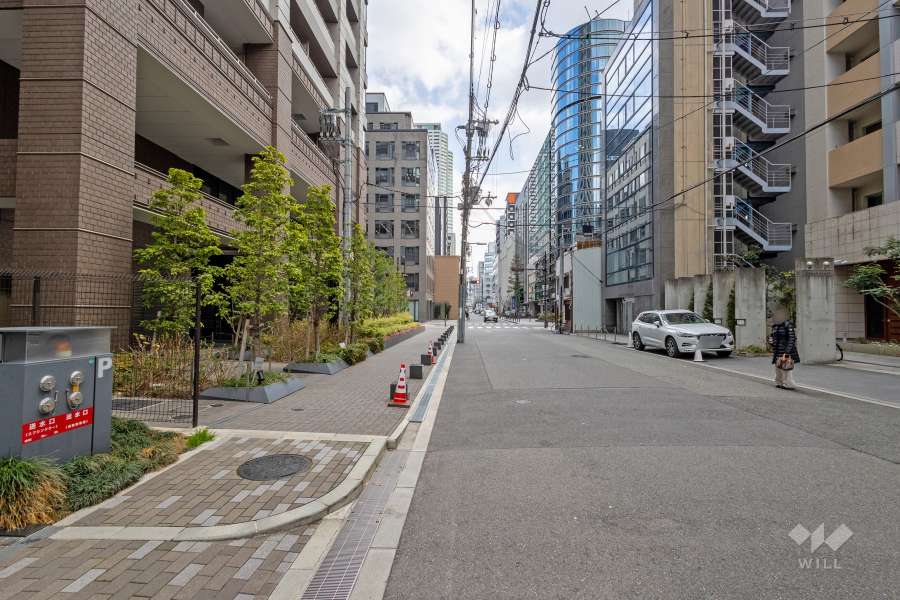 敷地南側の前面道路（西側から）