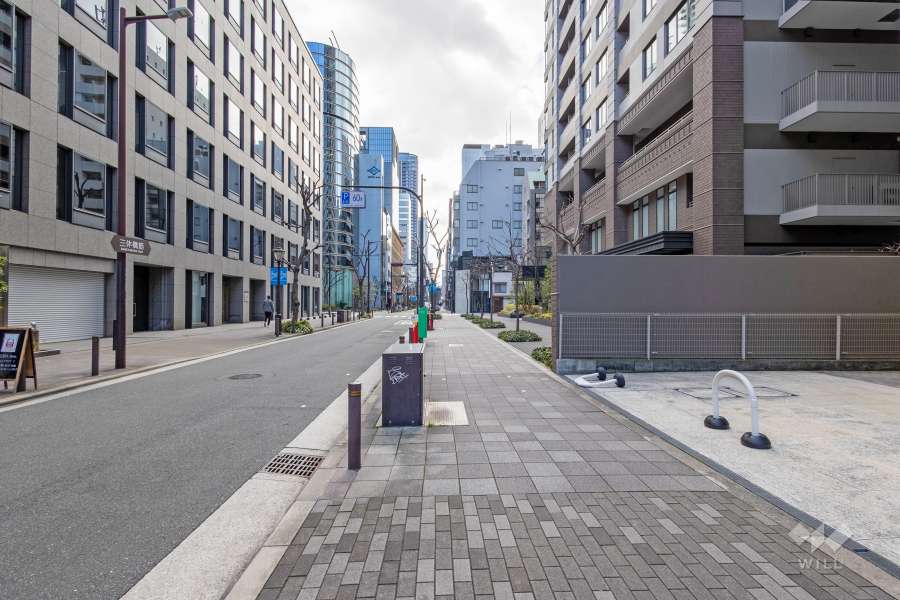 敷地東側の前面道路（北側から）