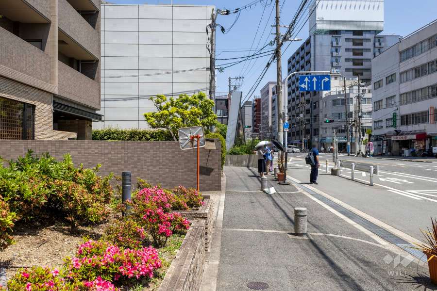 敷地東側の前面道路
