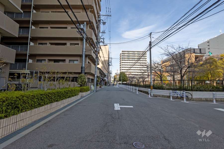 敷地東側の前面道路（南側から）