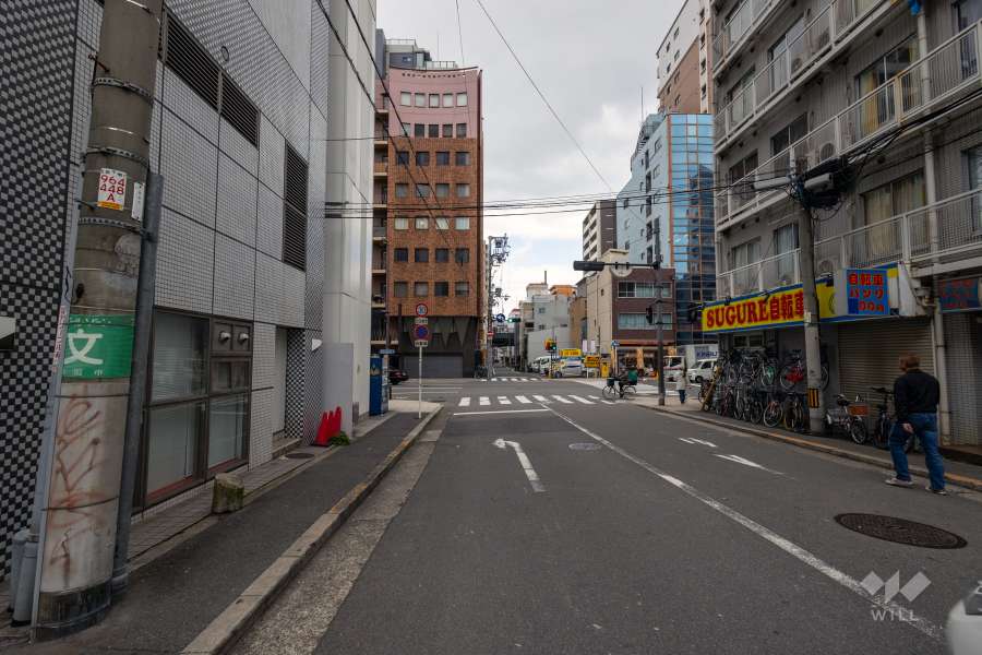 敷地の南側前面道路（西側から）