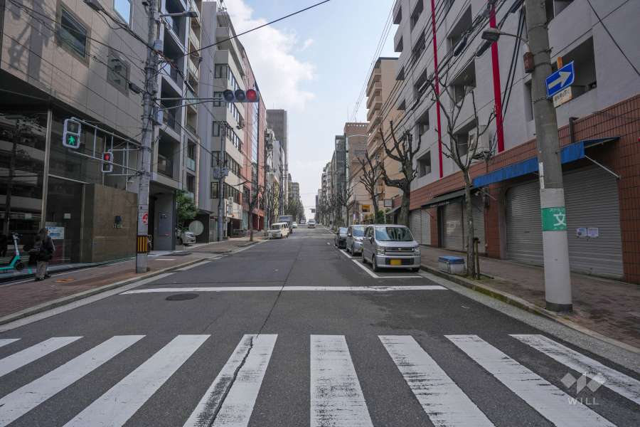 敷地北側の前面道路（西側から）
