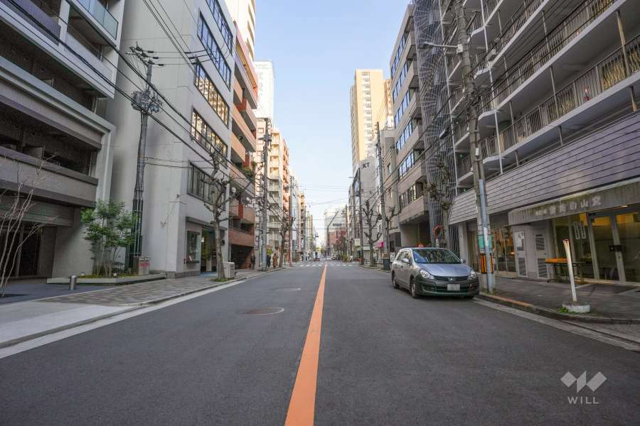 敷地北側の前面道路（西側から）