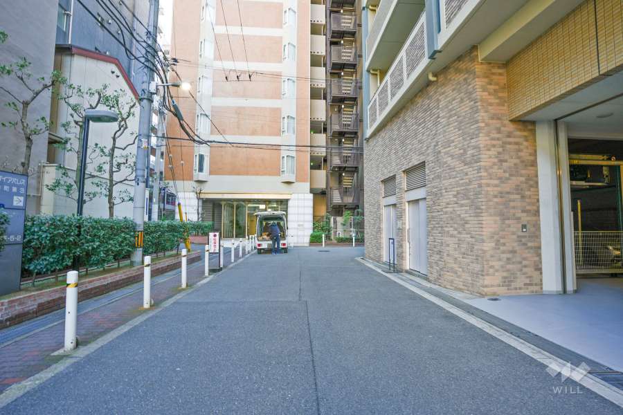 敷地南側の前面道路（東側から）