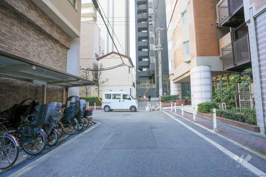 敷地西側の前面道路（北側から）