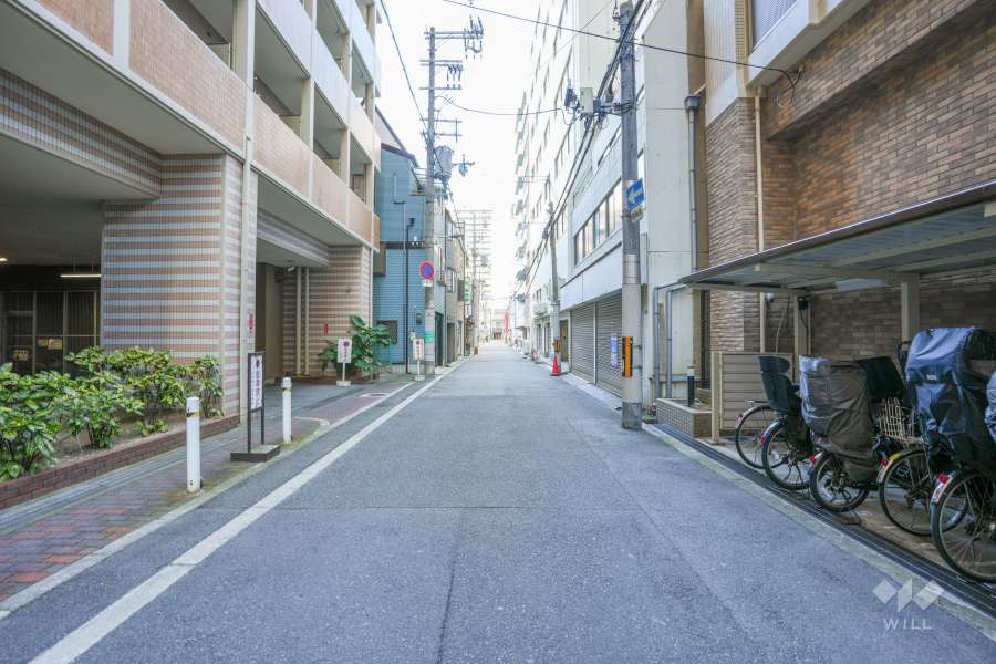 敷地西側の前面道路（南側から）