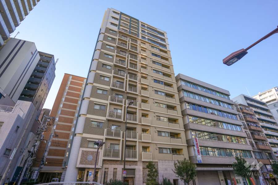 サンメゾン谷町セイスアヴェニーダの外観（南東側から）