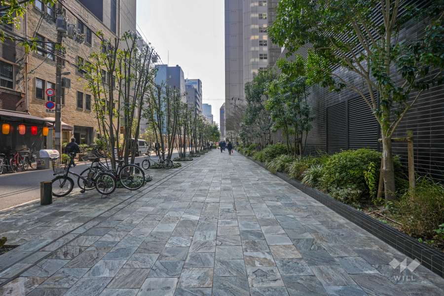 敷地東側の前面道路（北側から）