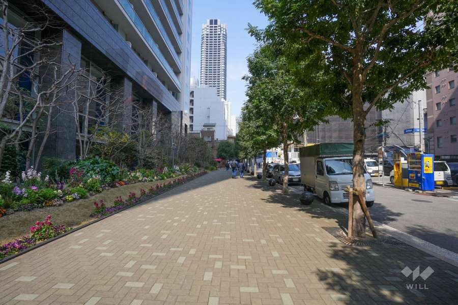 敷地東側の前面道路