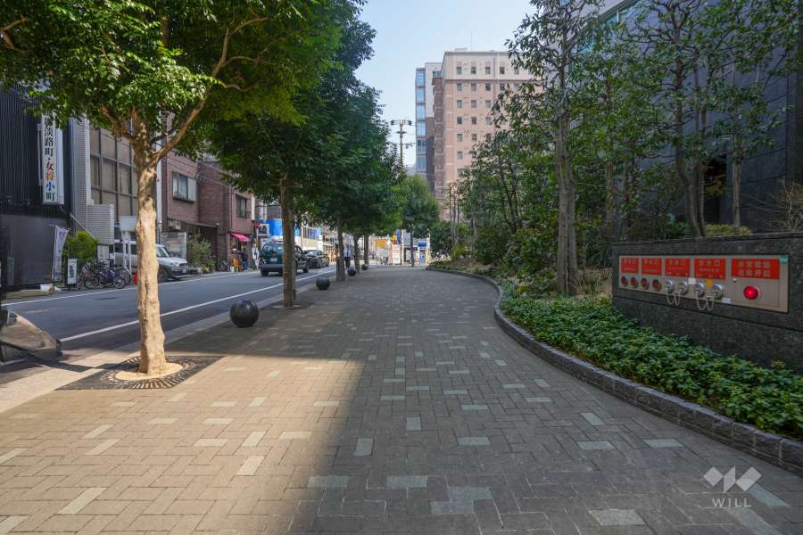 敷地北側の前面道路