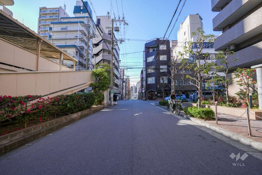 敷地北側の前面道路（東側から）