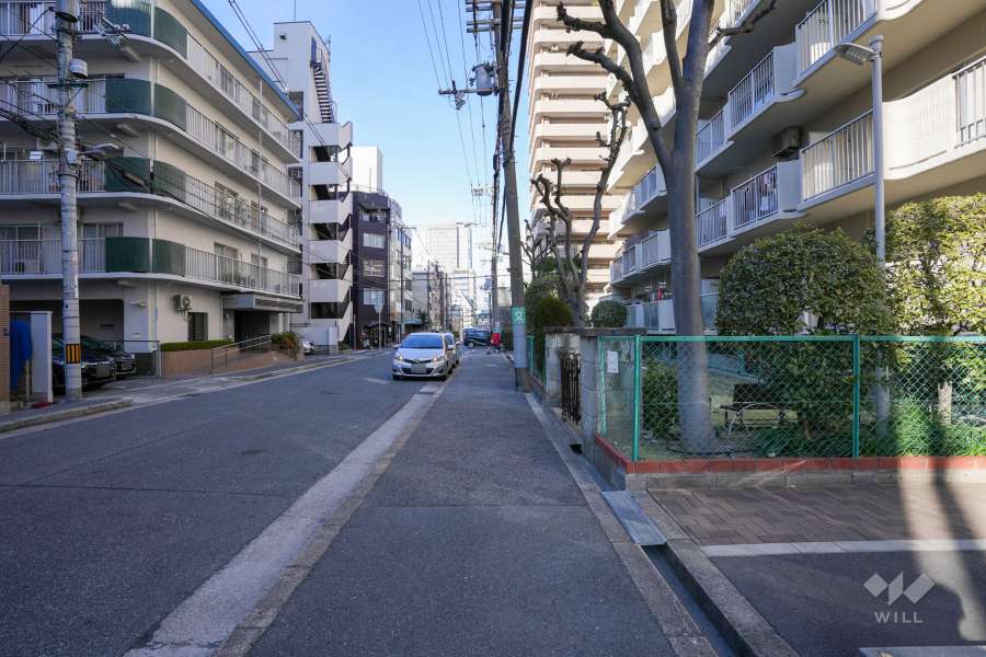 敷地東側の前面道路（南側から）