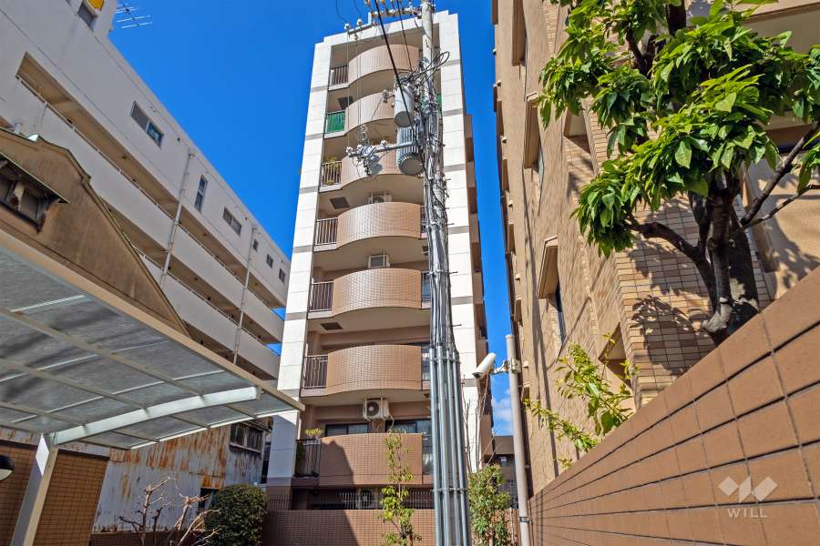 シャルマンフジリッツ谷町の外観（北東側から）