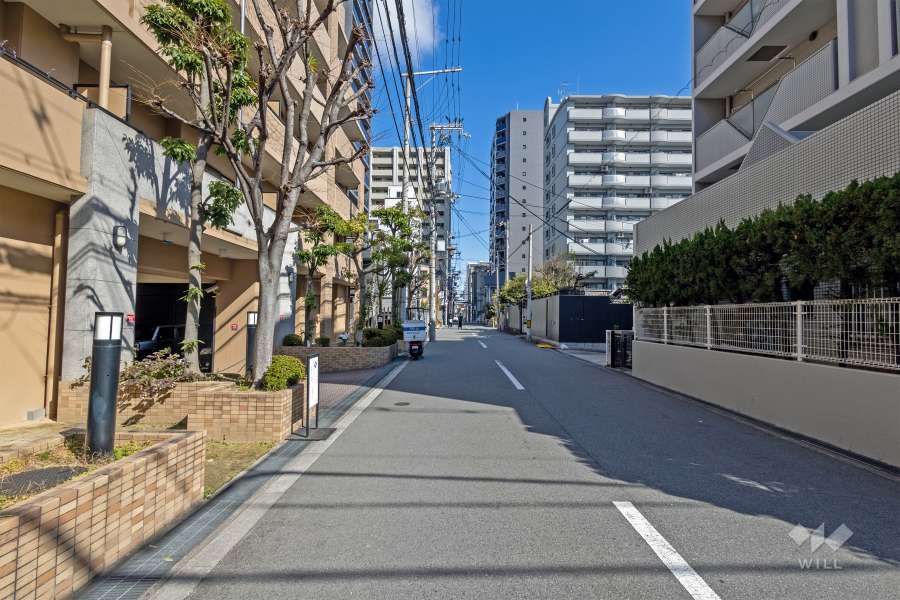 敷地の東側前面道路（南側から）