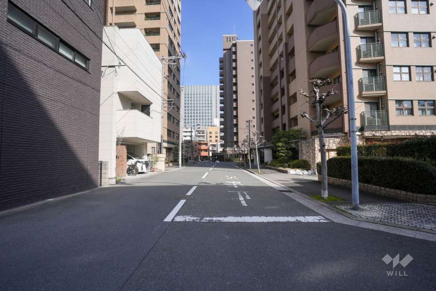 敷地北側の前面道路（西側から）