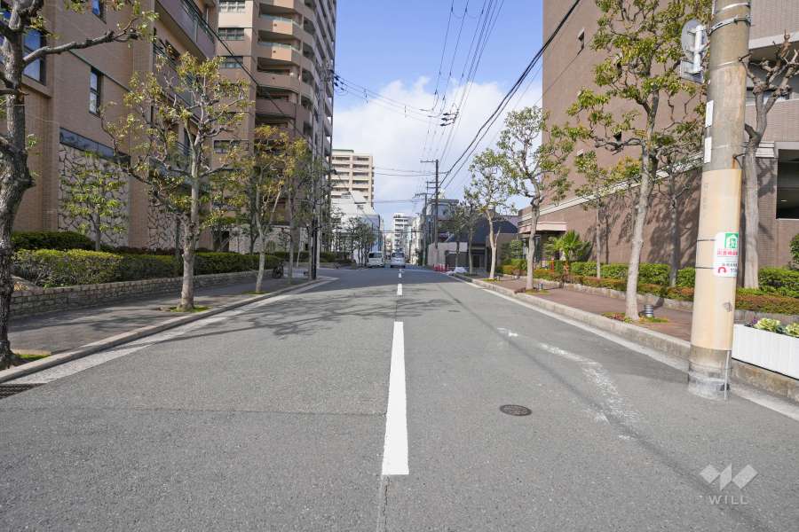 敷地東側の前面道路（南側から）