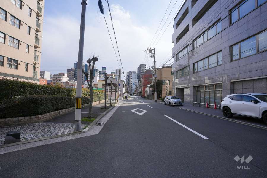 敷地西側の前面道路（北側から）