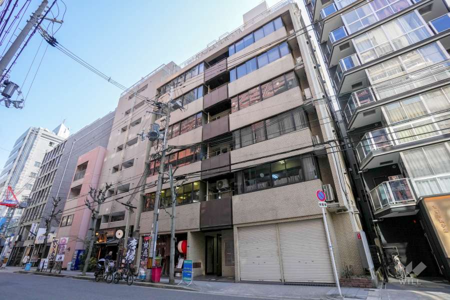 ダイアパレス大手前の外観（北西側から）