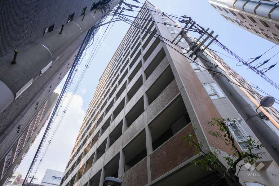 ダイアパレス谷町第3の外観（南東側から）