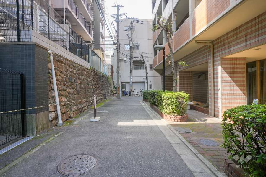 敷地南側の前面道路